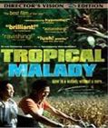 TROPICAL MALADY