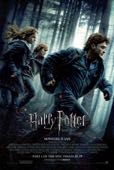 HARRY POTTER ET LES RELIQUES DE LA MORT (1ERE PARTIE) 3D